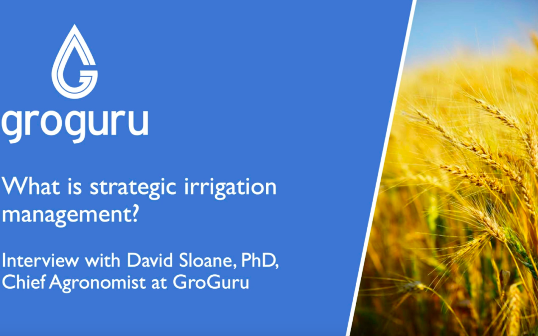 What Is Strategic Irrigation Management?