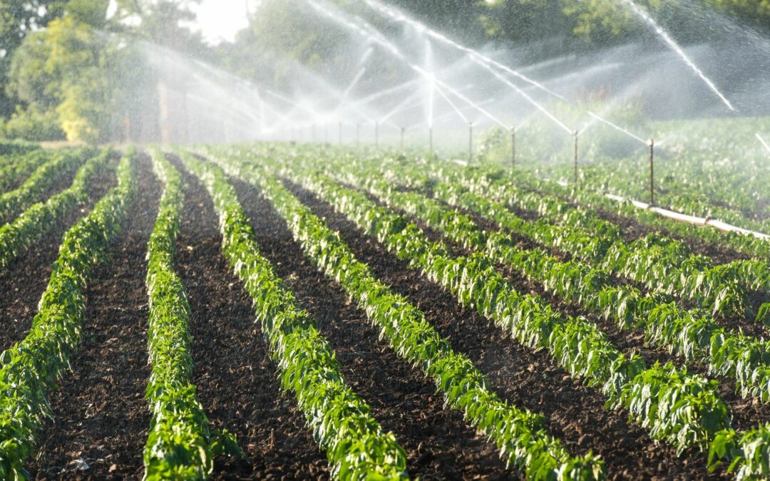 Measuring Soil Moisture