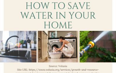 Save the Planet: How to Save Water in Your Own Home