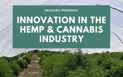 GroGuru Offers Innovation to the Industrial Hemp & Cannabis Industry
