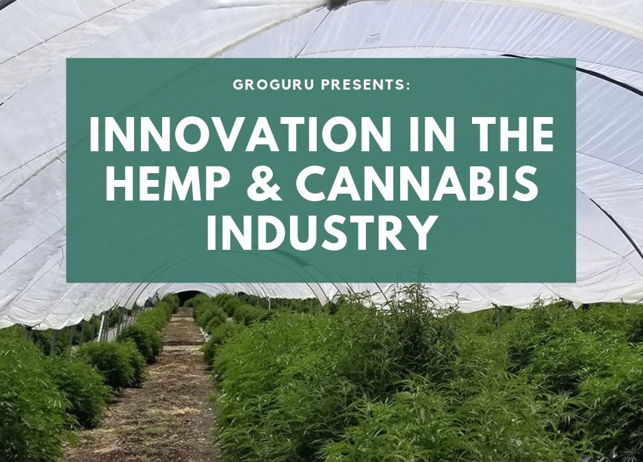 GroGuru Offers Innovation to the Industrial Hemp & Cannabis Industry