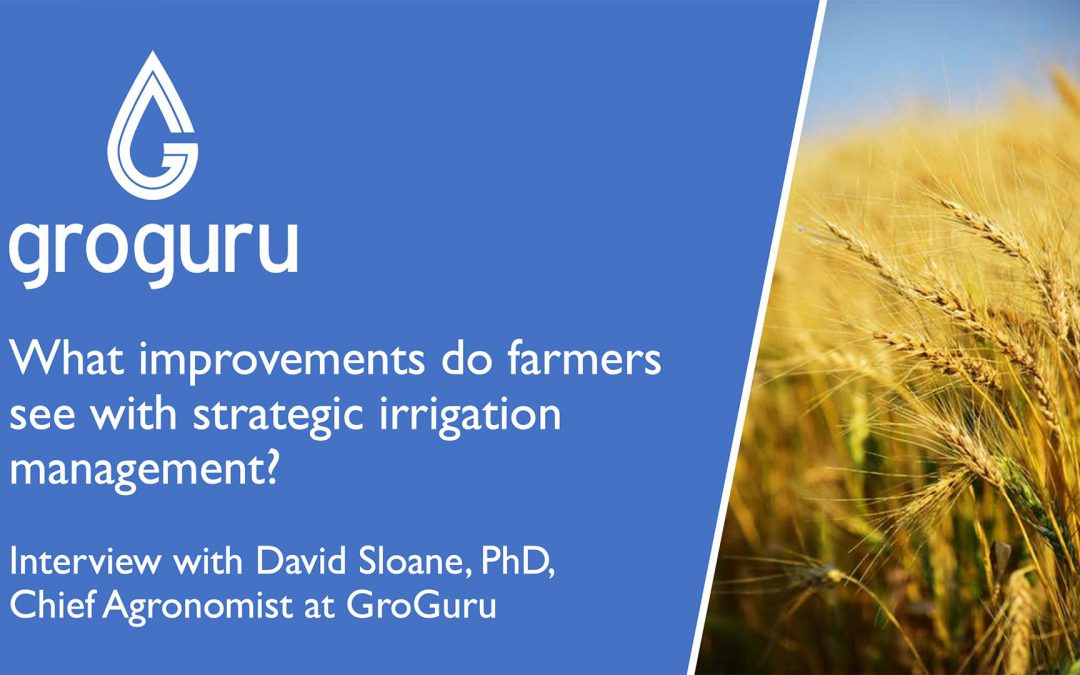 Improvements Farmers See With Strategic Irrigation Management