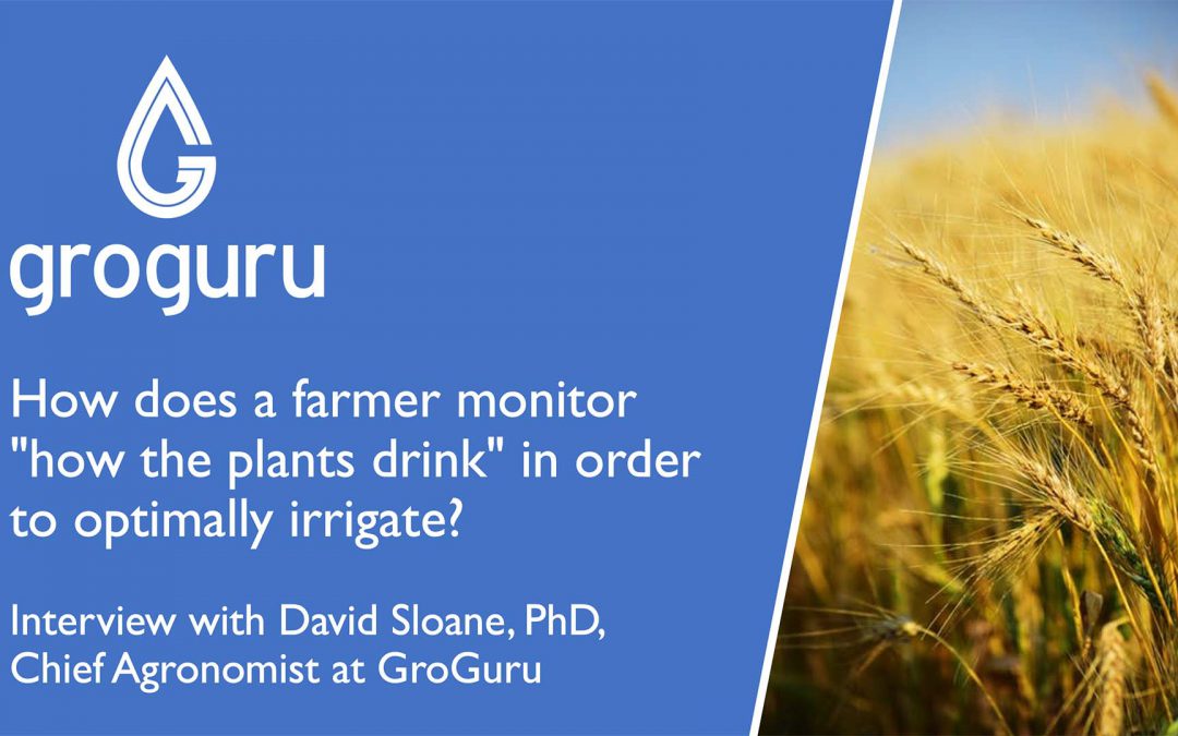 Monitoring ‘How Plants Drink’ in Order to Optimally Irrigate
